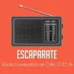 Escaparate-XYAA73l9