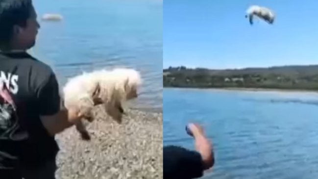 Lanza a un perro al mar c5XMAAFlyF