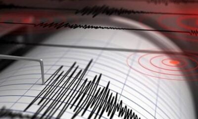 Sismo Temblor Referencial