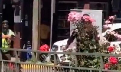 Carabinero en Panguipulli