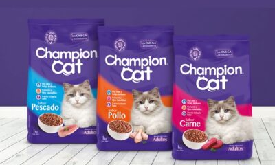 Champion CAT 8XEAUO4Uc