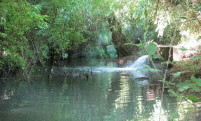 Estero perquenco