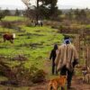 Territorio mapuche AAF agencia uno