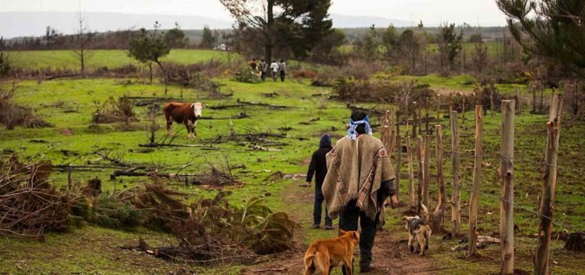 Territorio mapuche AAF agencia uno