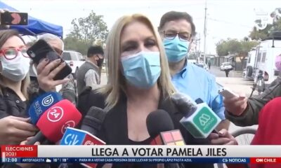 Pamela Jiles Pablo Maltés 919AB