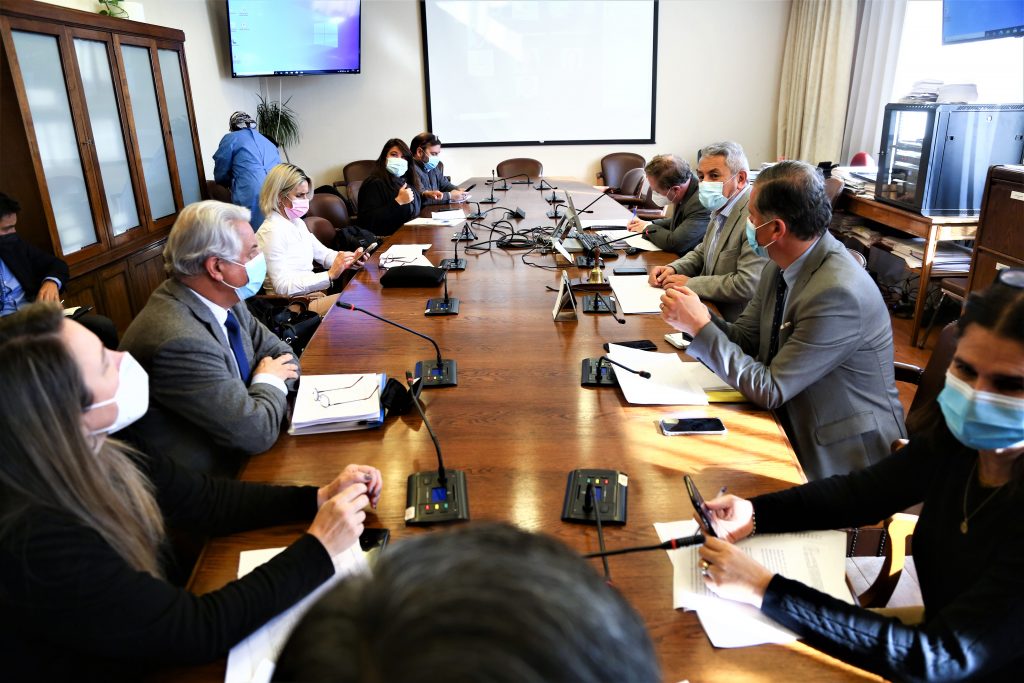 Comisión de Desarrollo Social 2 junio 1024x683