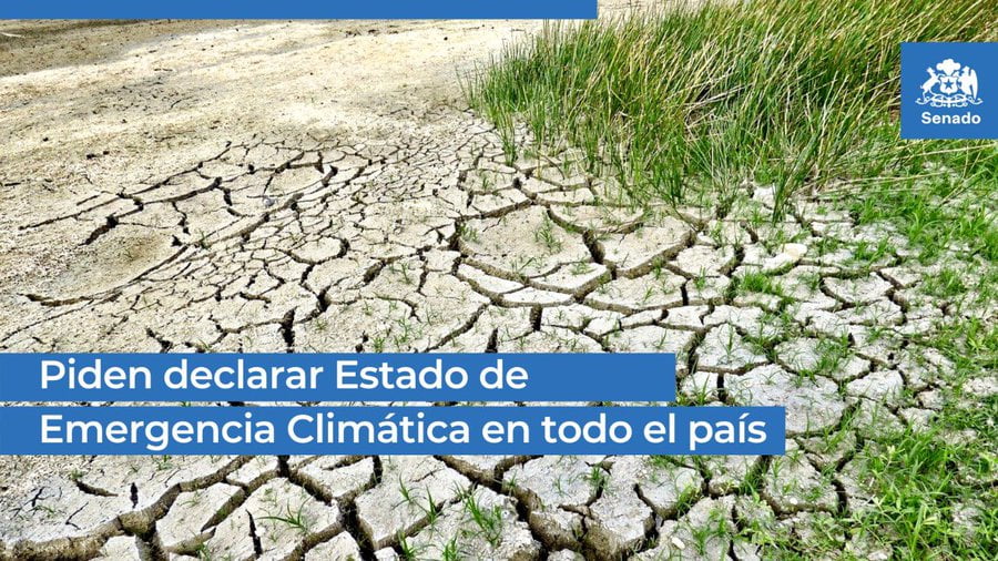 Estado de Emergencia