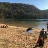 Medio AMBIENTE