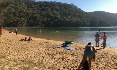 Medio AMBIENTE