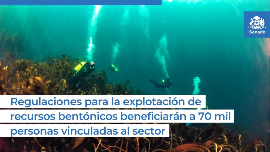 Recursos