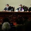 Convención Constituyente, Elisa Loncón ABadas