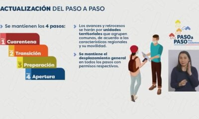 Plan paso a paso