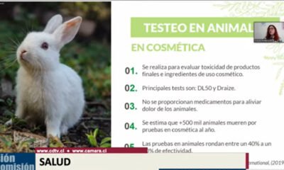 Animales
