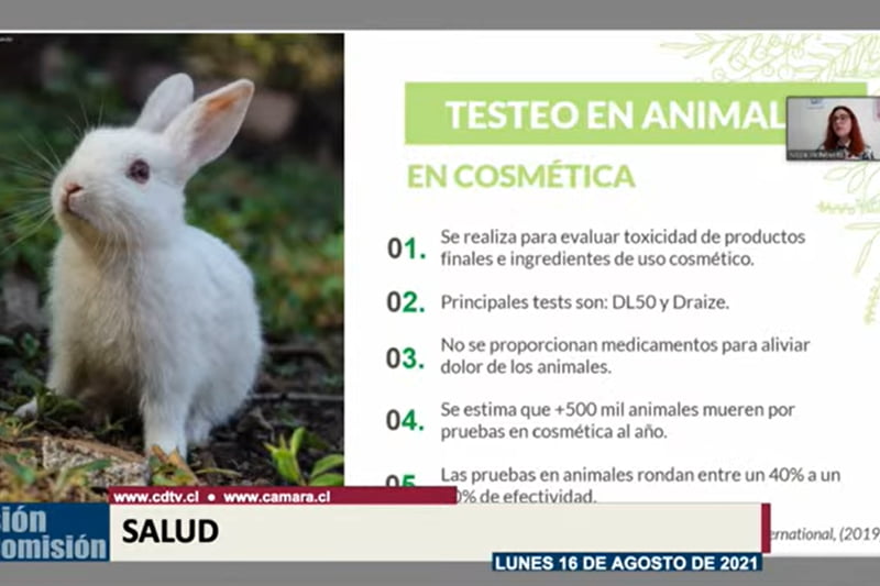 Animales