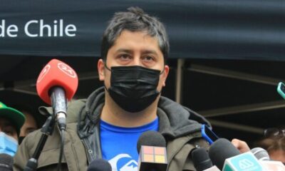 Gino Lorenzini. 750x375 AuBlm