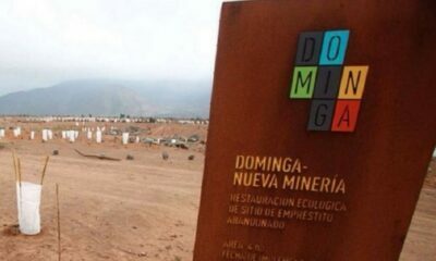 Minera dominga MPSQ5