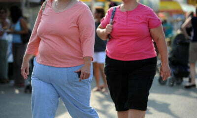 FILES US HEALTH OBESITY SWEDEN