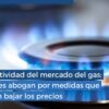 Mercado del Gas