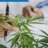 Marihuana Canabis 001A
