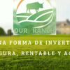 Our Ranch JAU1