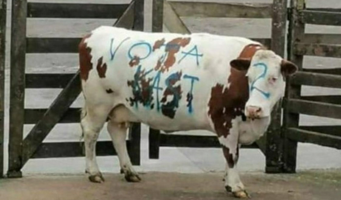 Rayan Vaca a favor de J A Kast KKKast