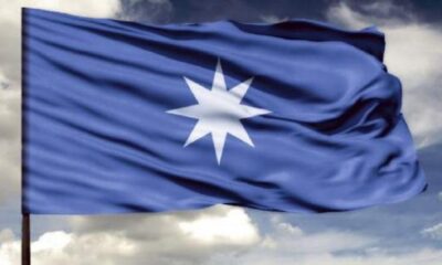 Bandera mapuche 01AB2