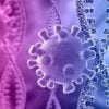 Variante coronavirus and virus cells