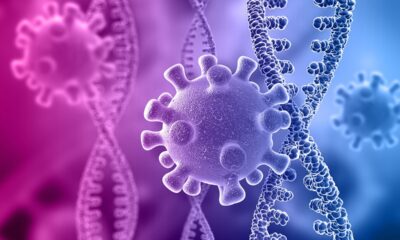 Variante coronavirus and virus cells
