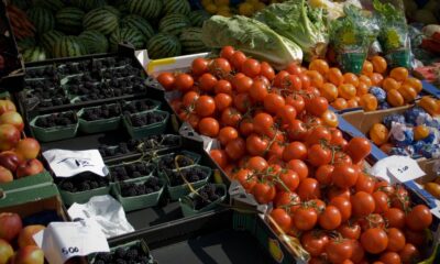 Alimentos verduras 7931232 1024x684