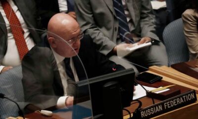 Vasily Nebenzya