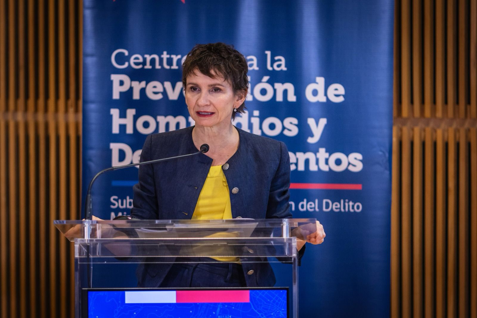 Carolina Toha