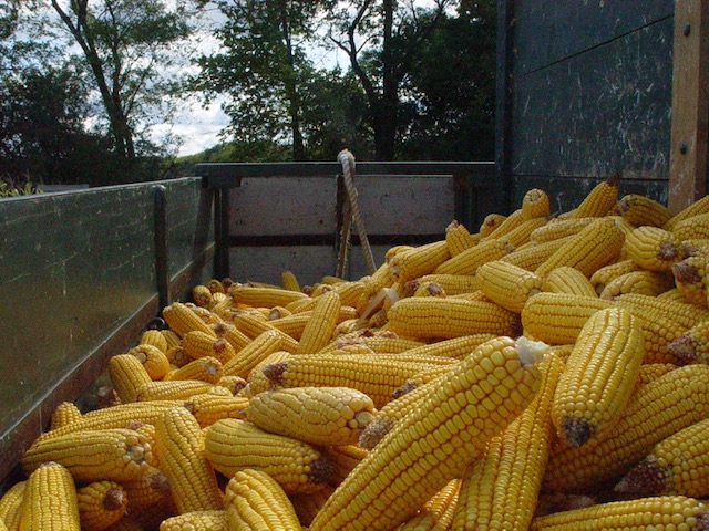 Photo 2024 01 15 15 24 04