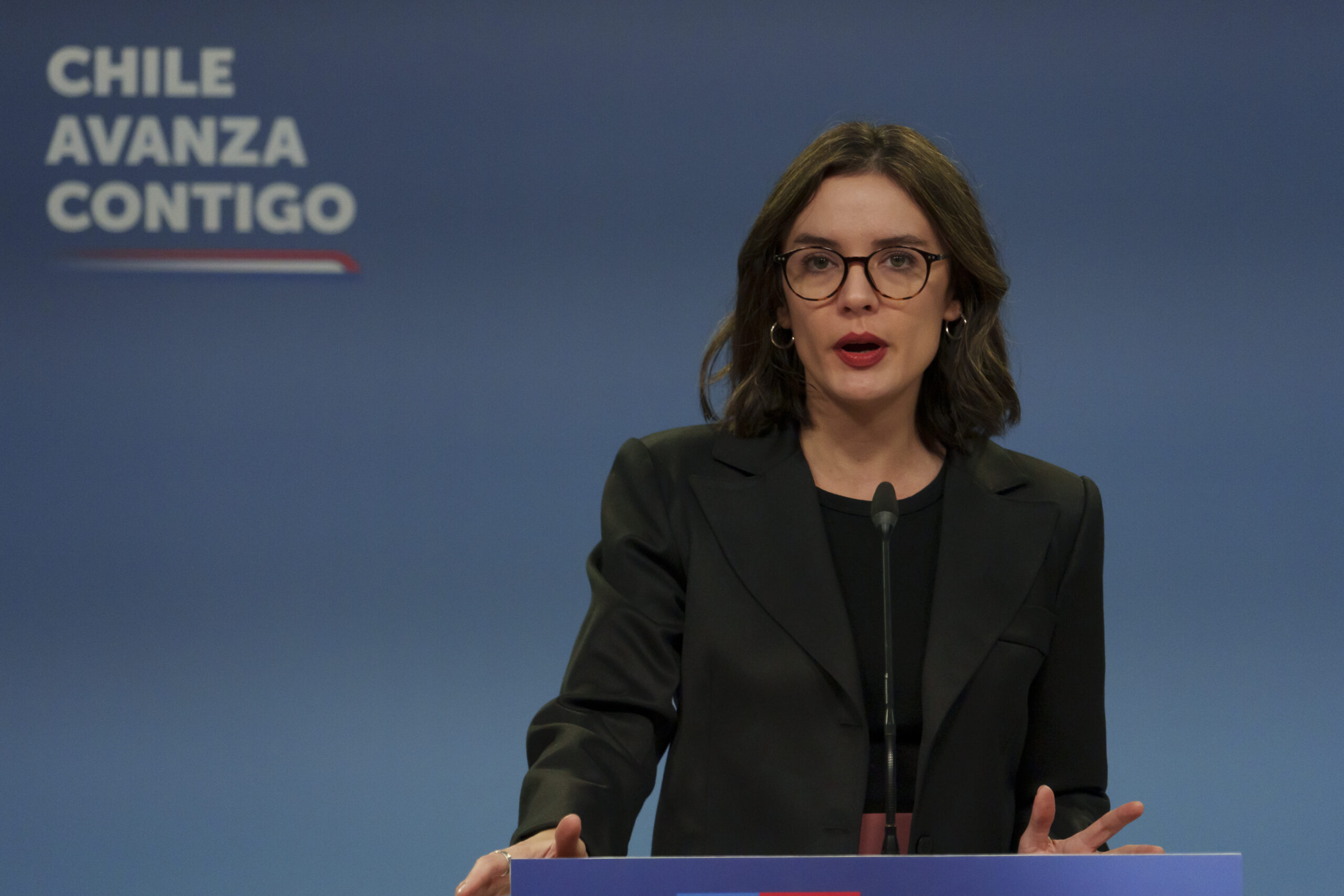 Voceria De Gobierno Ministra Vallejo