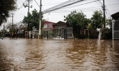Sistema Frontal