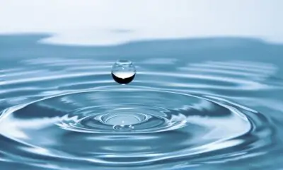 Agua