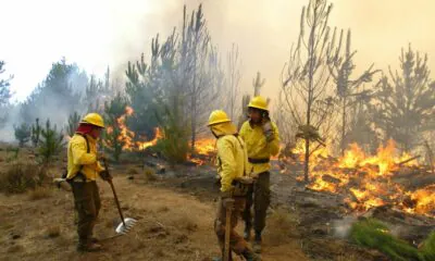 Incendios Forestales