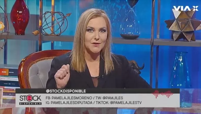 Diputada Pamela Jiles 0ABB