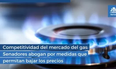 Mercado del Gas
