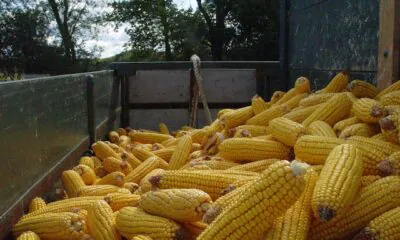 Photo 2024 01 15 15 24 04